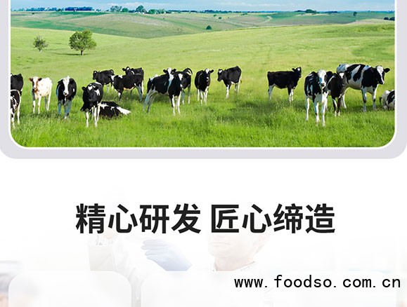 佰恩氏原味酸奶飲品 佰恩氏原味酸奶飲品