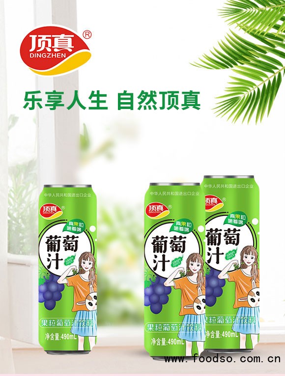 鄭州頂真食品有限公司-果粒果汁1_01