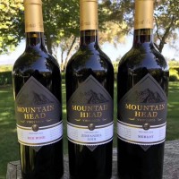 原瓶直采的時(shí)光佳釀：山之峰仙粉黛，黑櫻桃與胡椒的纏綿余韻