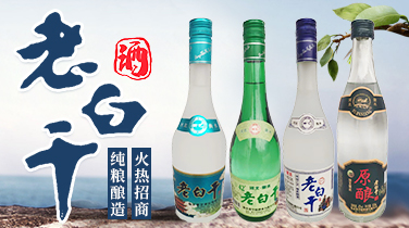 衡水董學(xué)府酒業(yè)有限公司